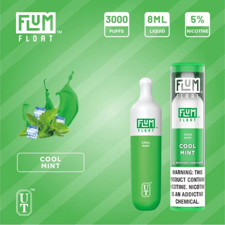 Flum Float 3000 Puffs Cool Mint